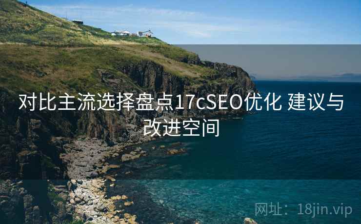 对比主流选择盘点17cSEO优化 建议与改进空间