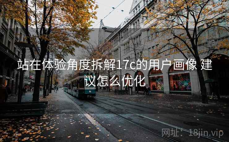 站在体验角度拆解17c的用户画像 建议怎么优化