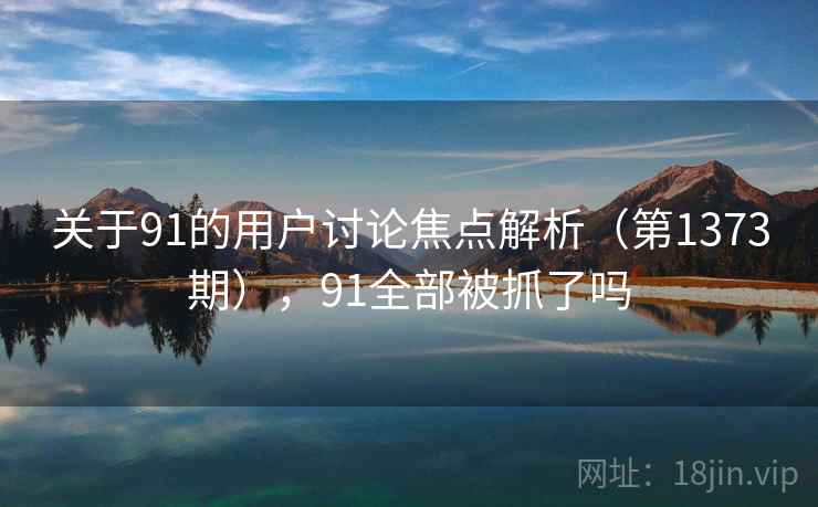 关于91的用户讨论焦点解析（第1373期），91全部被抓了吗