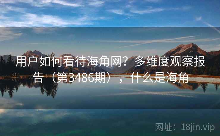用户如何看待海角网？多维度观察报告（第3486期），什么是海角