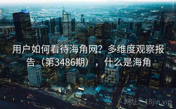 用户如何看待海角网？多维度观察报告（第3486期），什么是海角
