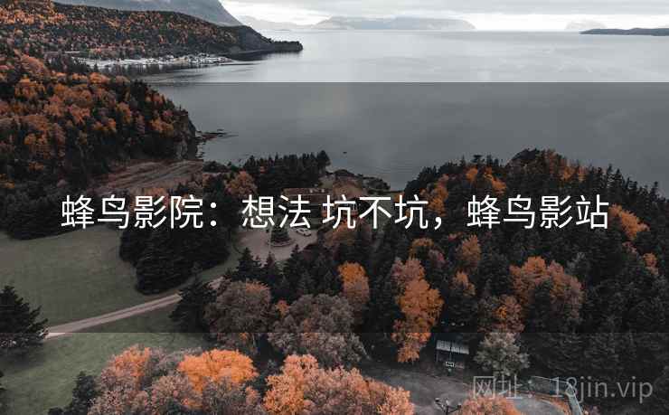 蜂鸟影院：想法 坑不坑，蜂鸟影站