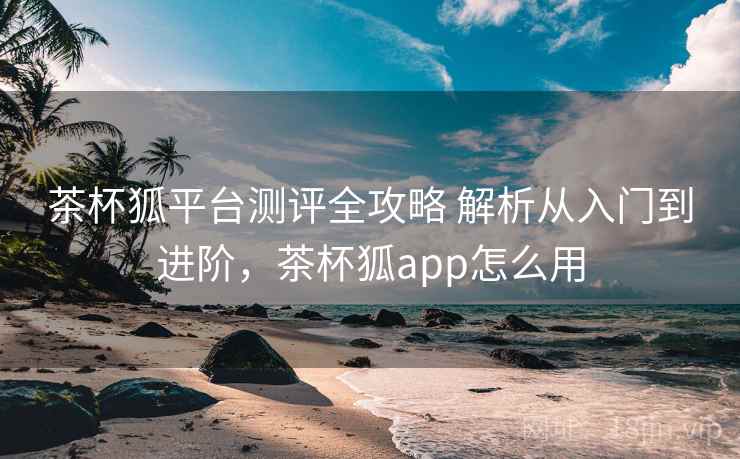 茶杯狐平台测评全攻略 解析从入门到进阶，茶杯狐app怎么用