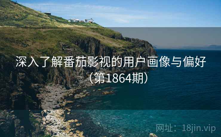 深入了解番茄影视的用户画像与偏好（第1864期）