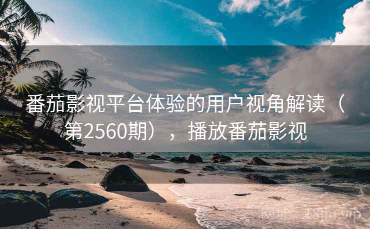 番茄影视平台体验的用户视角解读（第2560期），播放番茄影视